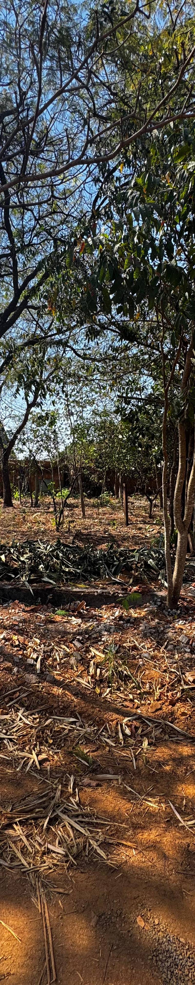 Lote/ Terreno à venda